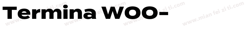 Termina W00字体转换